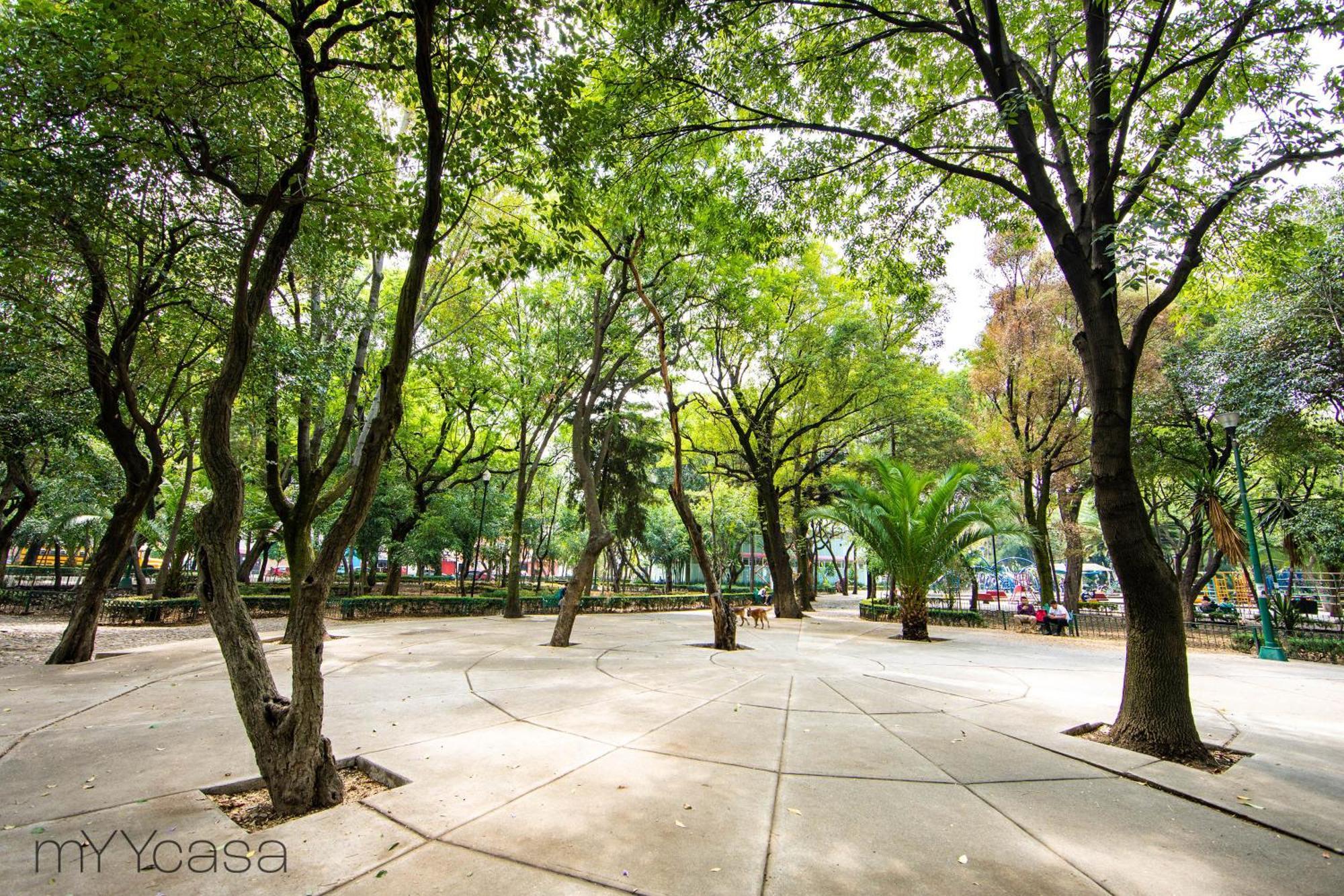 Cozy And Stylish Apartment Near Polanco 墨西哥城 外观 照片